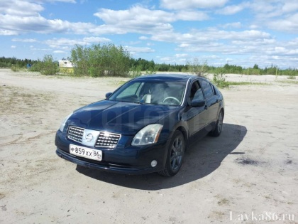 ������� Nissan  Maxima 2005 �., ��������