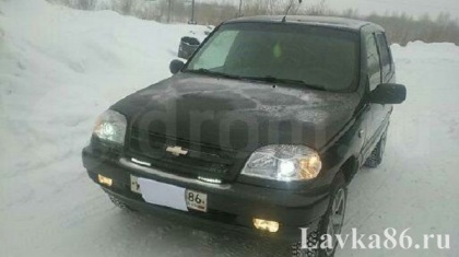 ������� Chevrolet Niva 2008 �., ��������