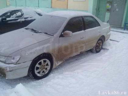 ������� Toyota  Corona Premio 1999 �., ��������